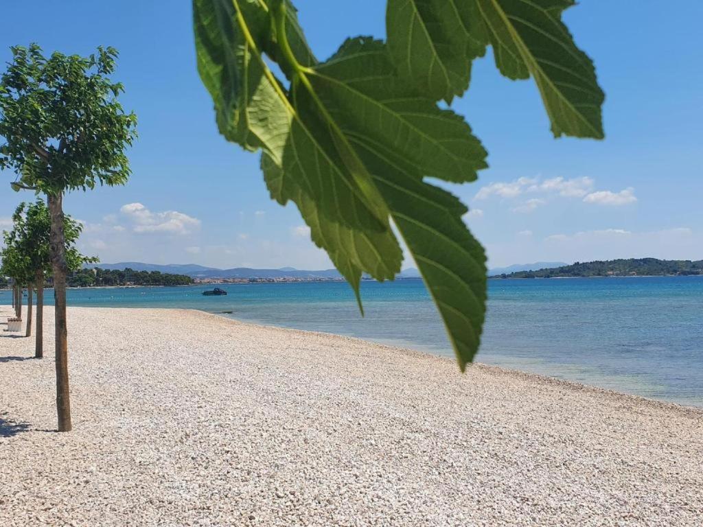 Apartments Vesna Vodice Bagian luar foto